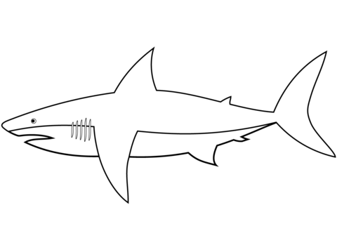 Easy Shark Coloring Page